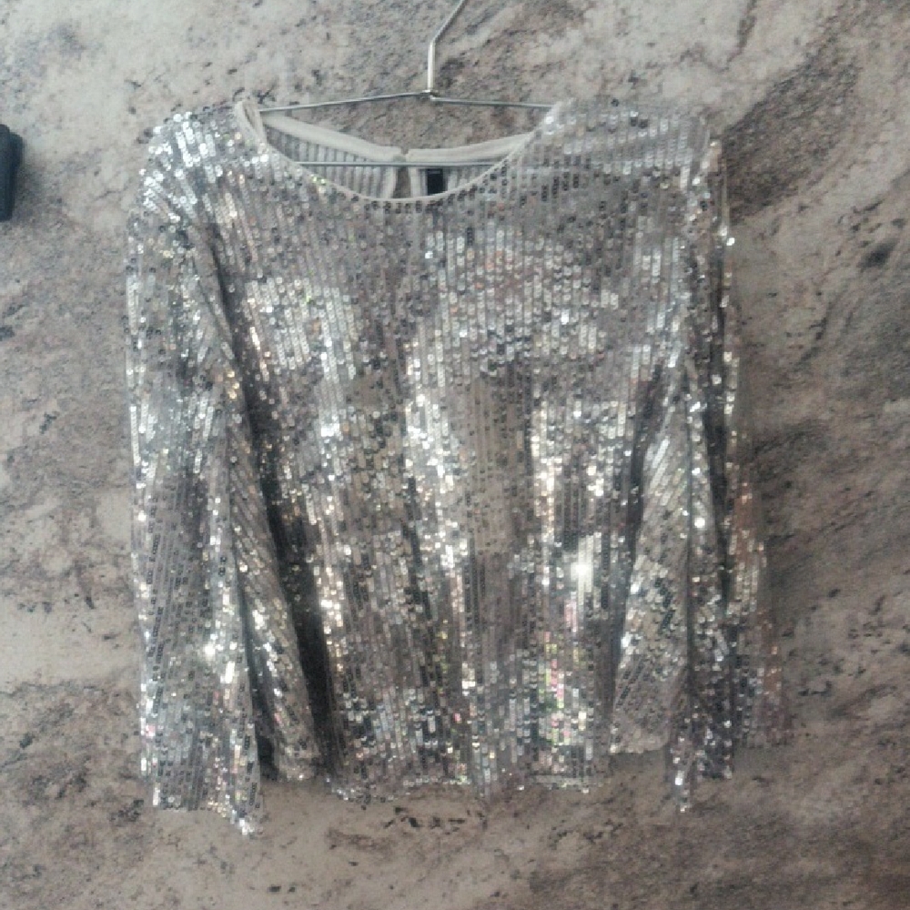 Zara Silver Sequin Blouse